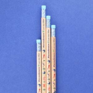 Réalisation pour l'office de tourisme de Coeur de Nacre, crayon papier